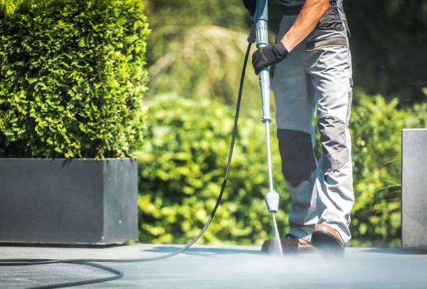 Best Animal Enclosure Cleaning  in Fruitridge Pocket, CA