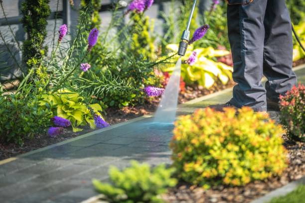 Trusted Fruitridge Pocket, CA Pressure Washing Services Experts
