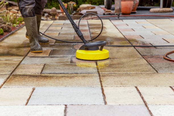 Best Dumpster Area Cleaning  in Fruitridge Pocket, CA
