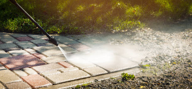 Best Graffiti Removal  in Fruitridge Pocket, CA
